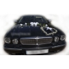 Noir Jaguar décoration blanche