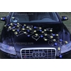 Décoration voiture mariage marguerites jaune-bleu