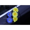 Décoration voiture mariage marguerites jaune-bleu