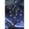 Décoration voiture marguerites blanches