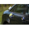 Décoration pour Audi voiture de mariage Roses