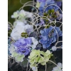 Décoration de Voiture Mariage Fleurs Violet en Bleu Rotin