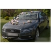 Décoration pour Audi voiture de mariage Roses