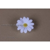 Marguerites blanches avec des ventouses pour la décoration de voiture de mariage