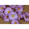 Margueritespurpre violet avec des ventouses pour la décoration de voiture de mariage