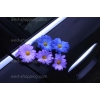 Décoration voiture mariage marguerites violett-bleu