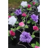 Decoration voiture mariage roses