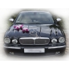 Rose Élégance Deluxe - Décoration voiture Mariage Emma