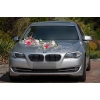 Rose Élégance et BMW voiture mariage