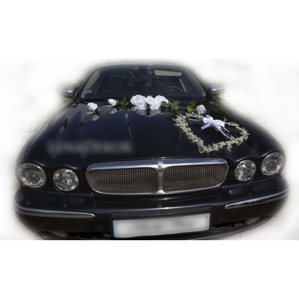 Noir Jaguar décoration blanche