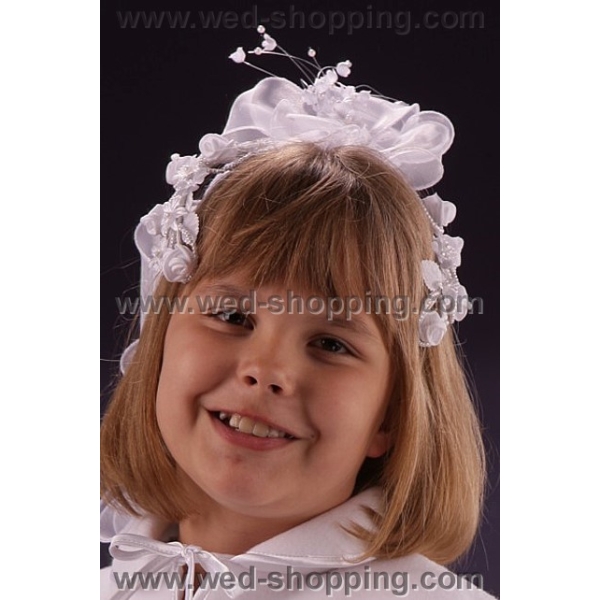 Cape Communion Polaire