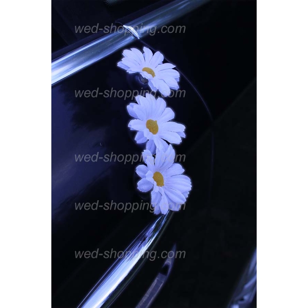 Décoration voiture marguerites blanches