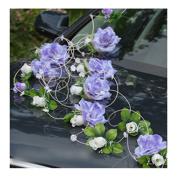 Violet-Bleu decoration pour voiture