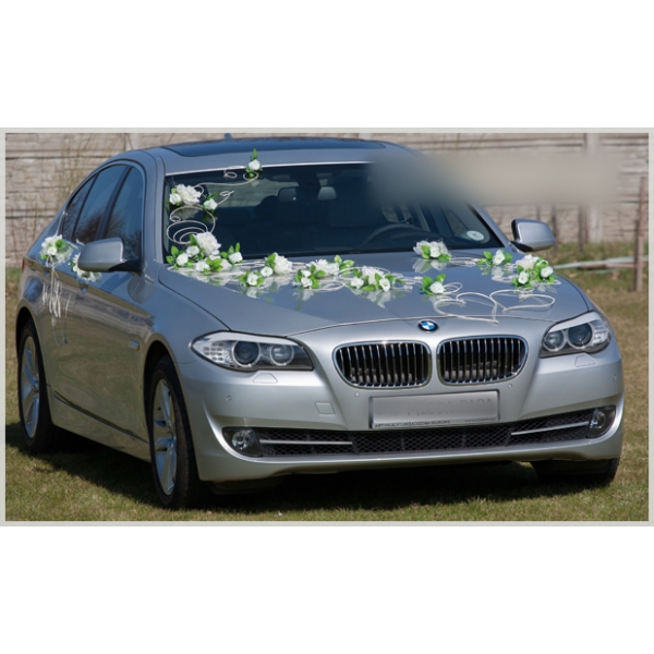 Bolis - 50 Cocardes Blanches - 3 Cm - Pour Mariage, Voiture, Maison, Baptême, Diplôme, Communion - Grand Nœud Vert Musc