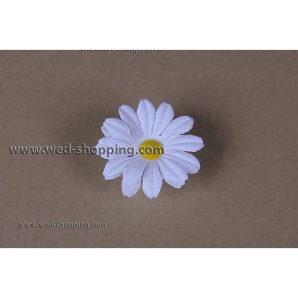 Marguerites blanches avec des ventouses pour la décoration de voiture de mariage
